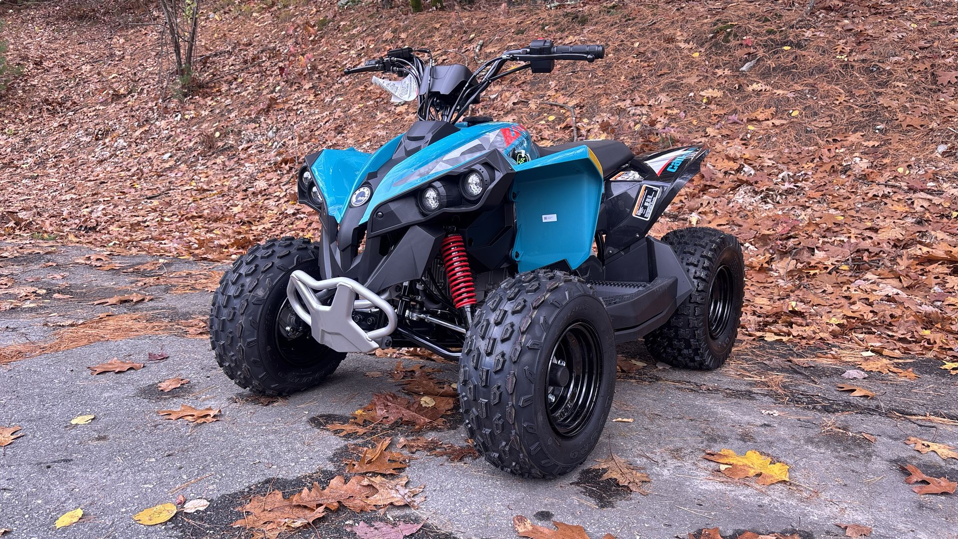 2026 Can-Am RENEGADE 70 EFI - Photo 17