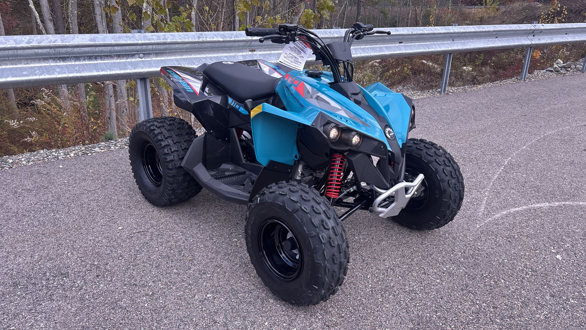 2026 Can-Am RENEGADE 110 EFI
