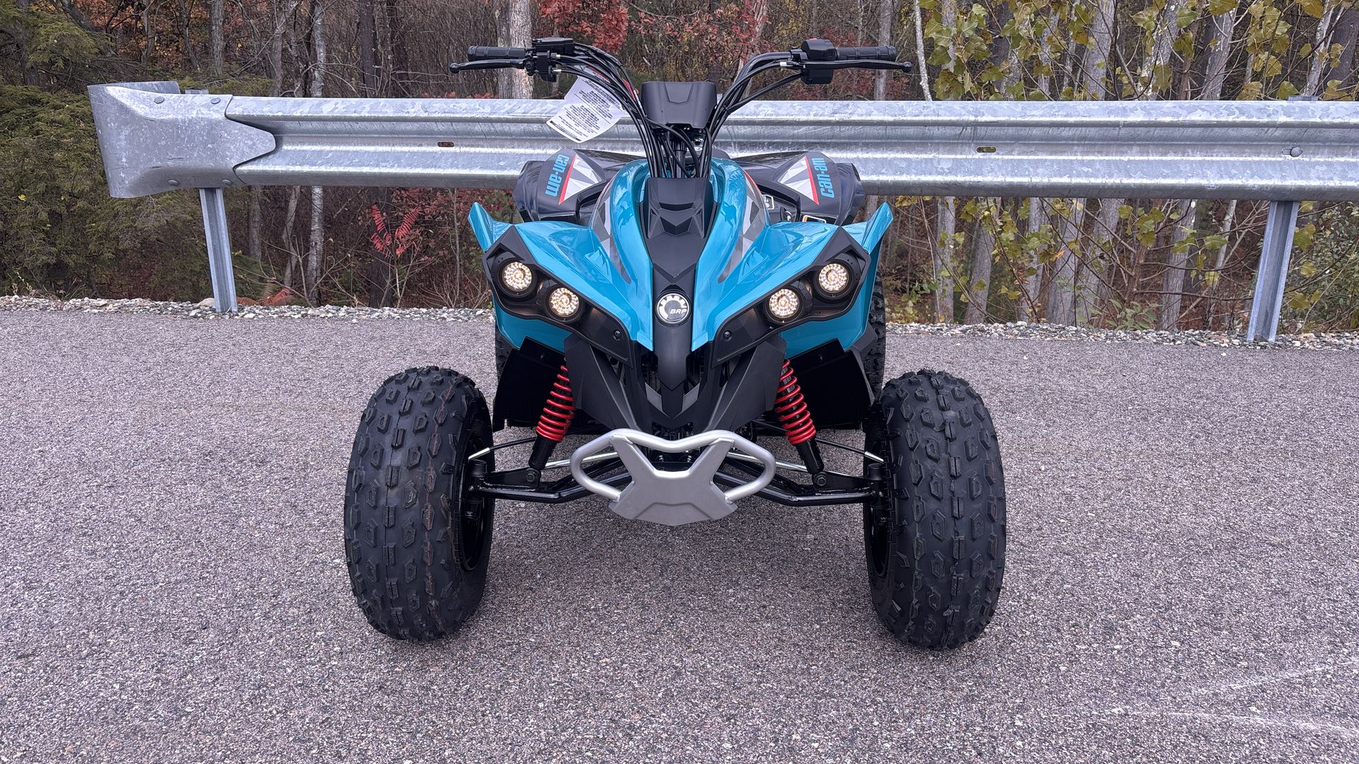 2026 Can-Am RENEGADE 110 EFI - Photo 2