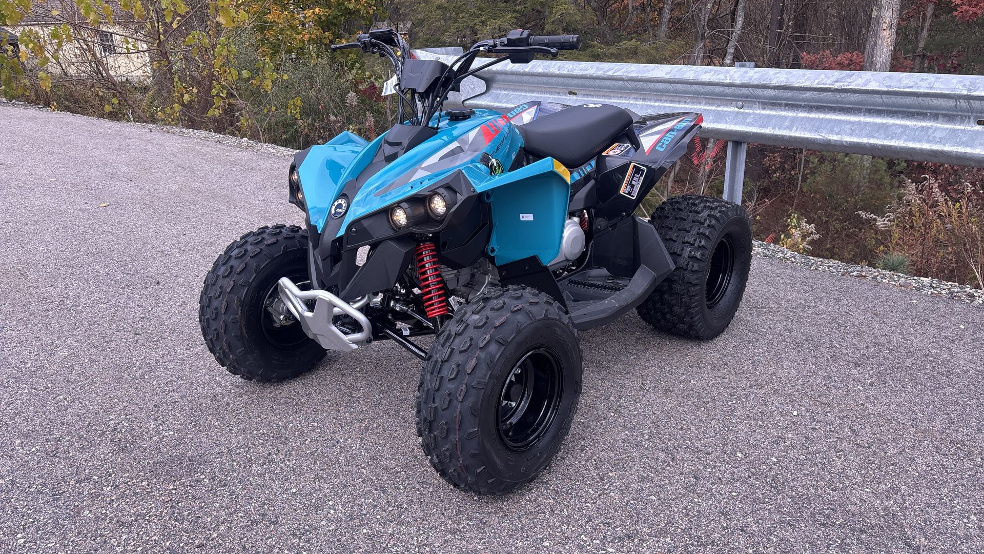 2026 Can-Am RENEGADE 110 EFI - Photo 3
