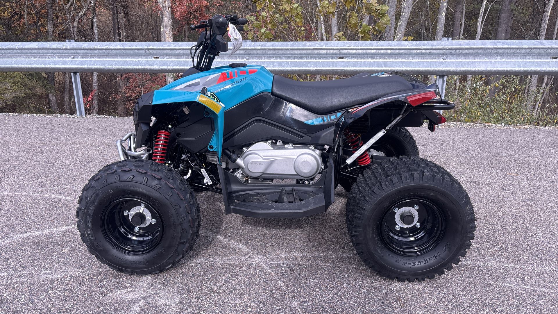 2026 Can-Am RENEGADE 110 EFI - Photo 4
