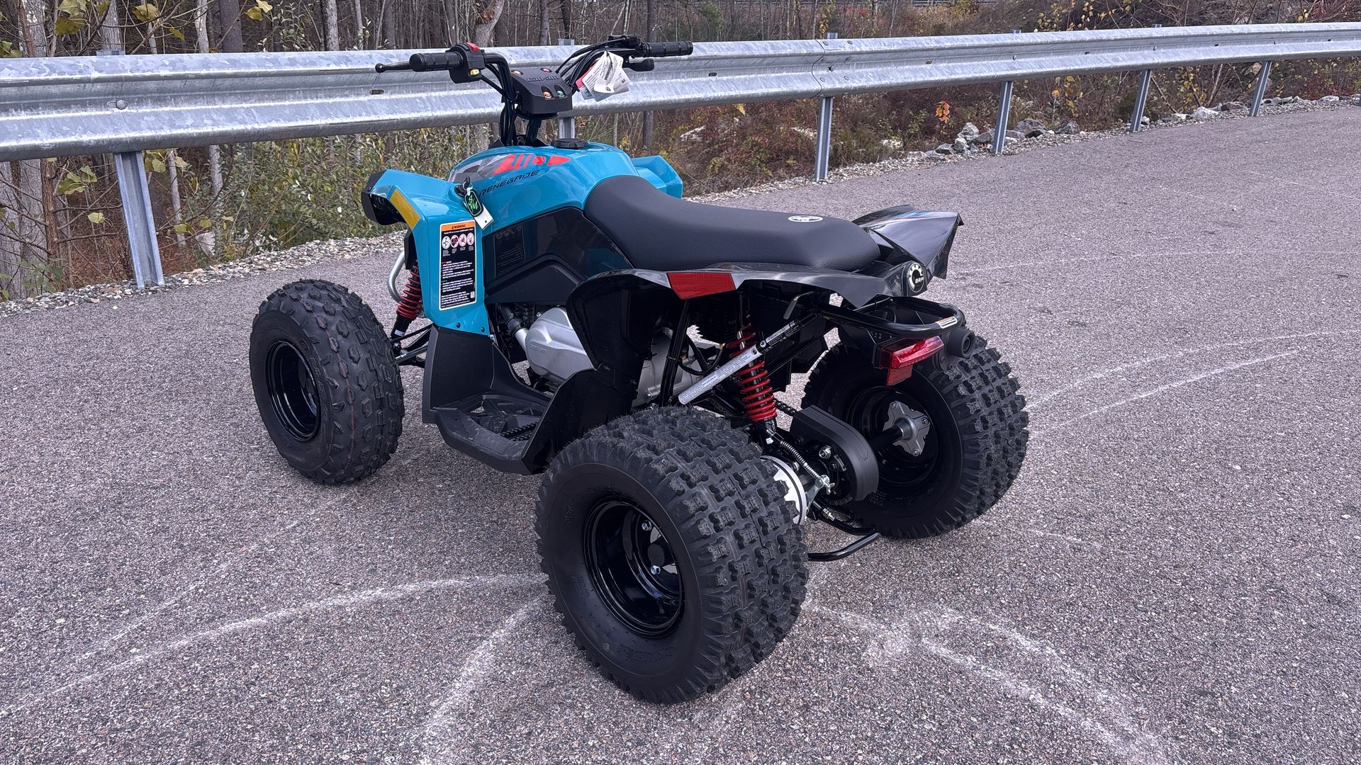 2026 Can-Am RENEGADE 110 EFI - Photo 5