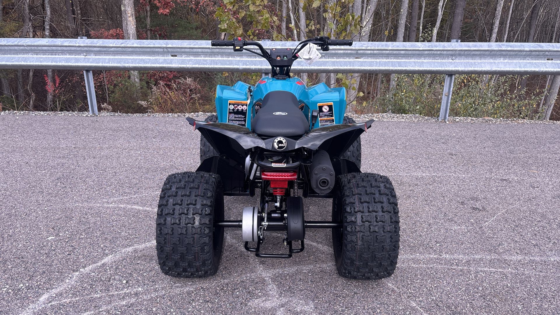 2026 Can-Am RENEGADE 110 EFI - Photo 6