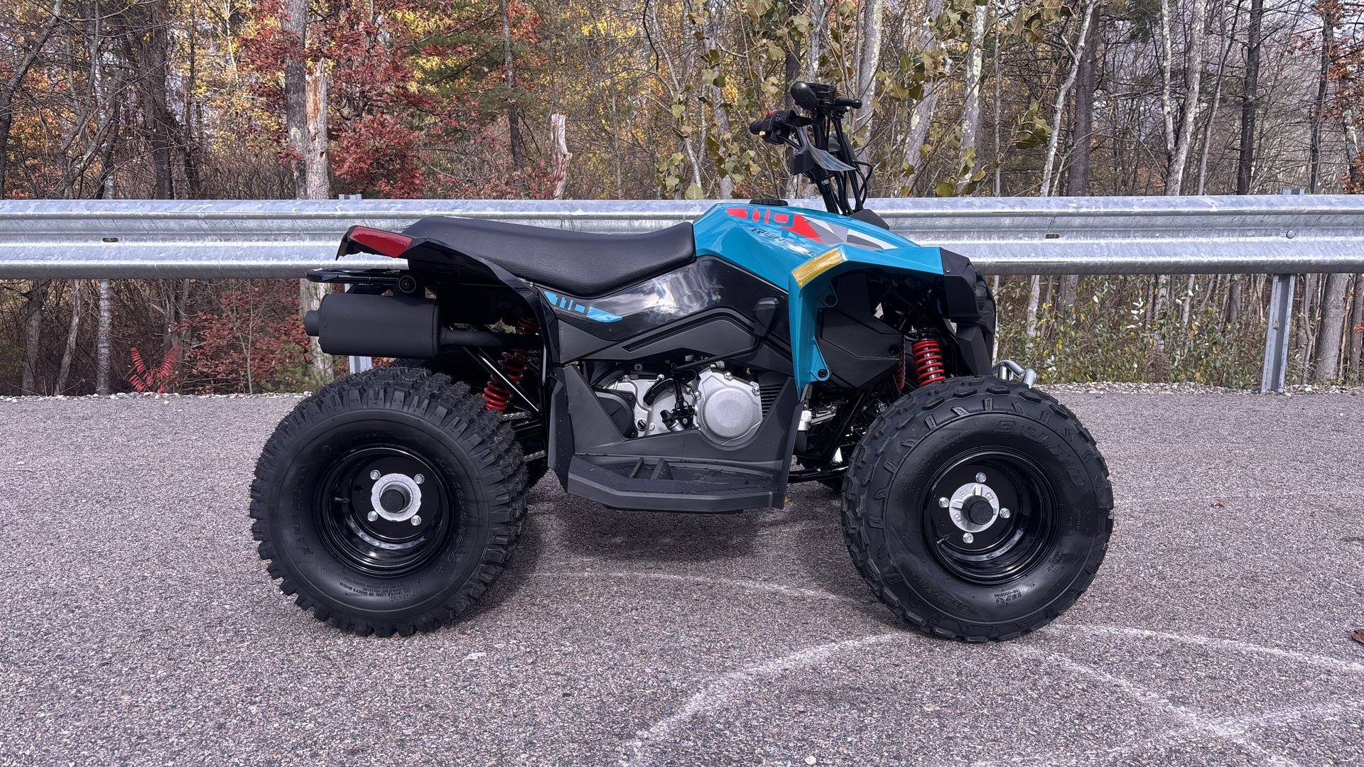 2026 Can-Am RENEGADE 110 EFI - Photo 8