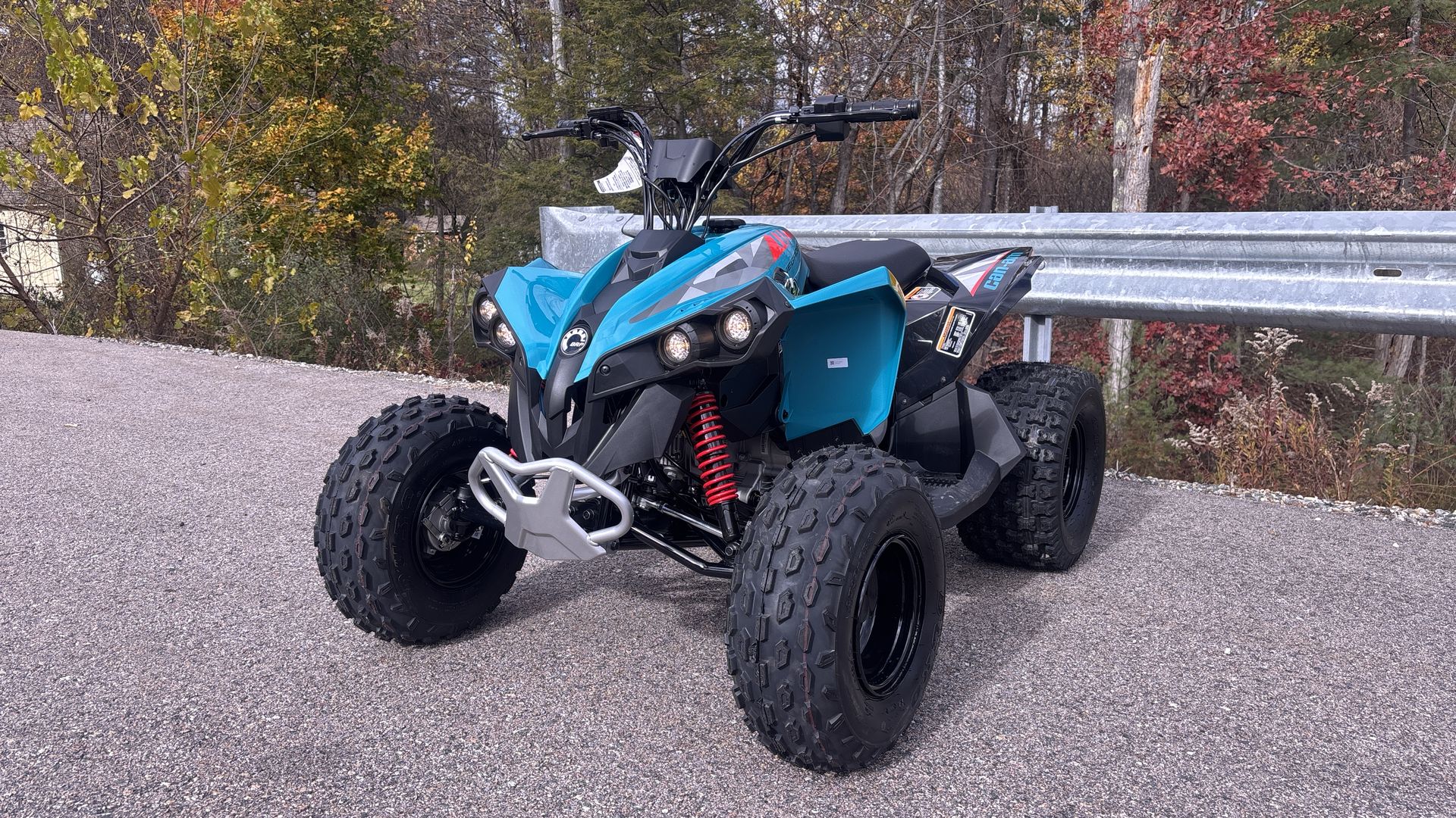 2026 Can-Am RENEGADE 110 EFI - Photo 9