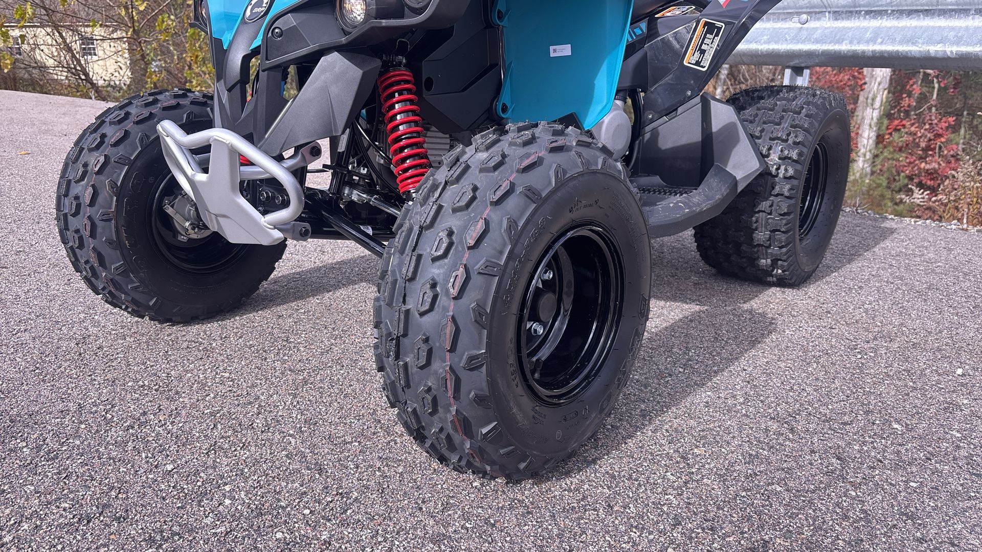 2026 Can-Am RENEGADE 110 EFI - Photo 10