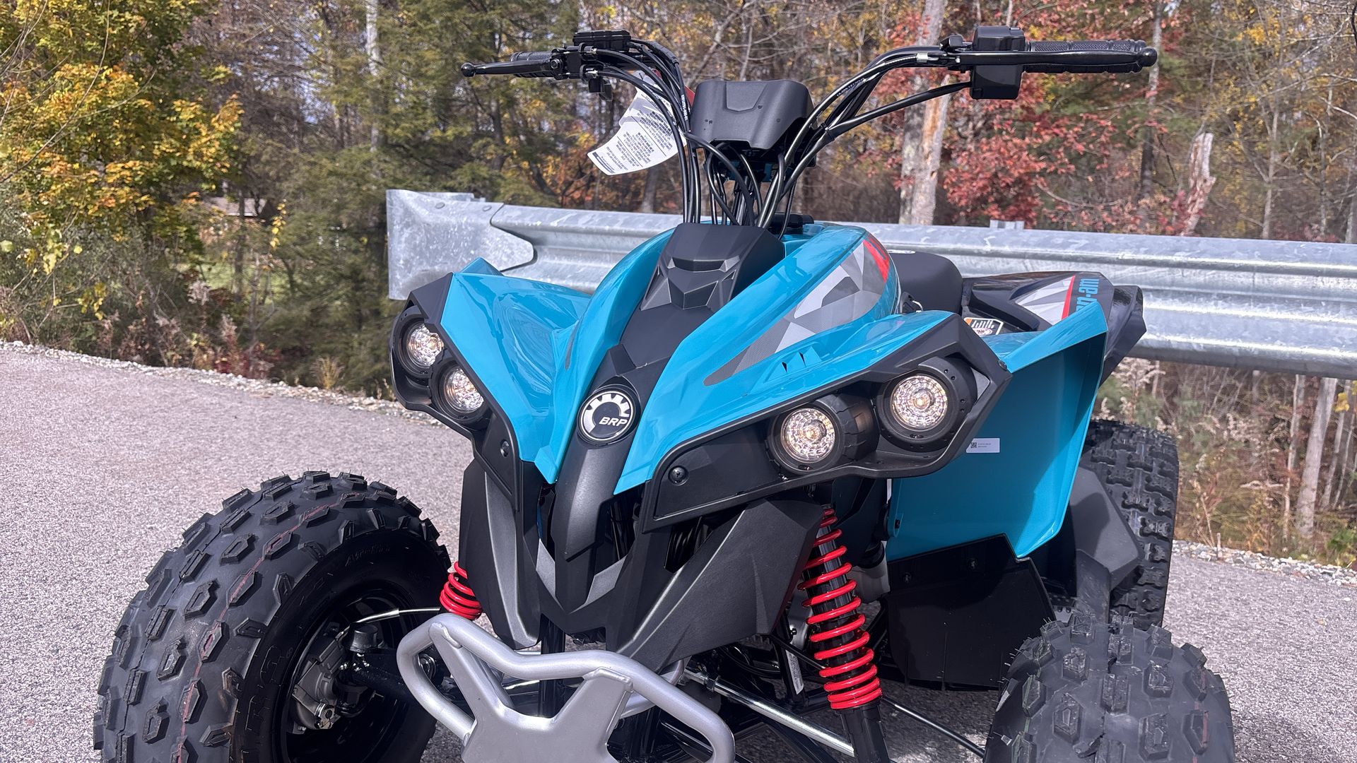 2026 Can-Am RENEGADE 110 EFI - Photo 11