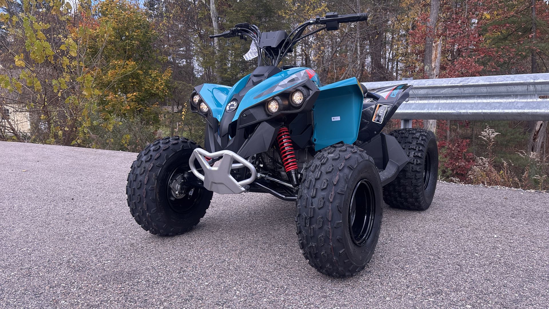 2026 Can-Am RENEGADE 110 EFI - Photo 17