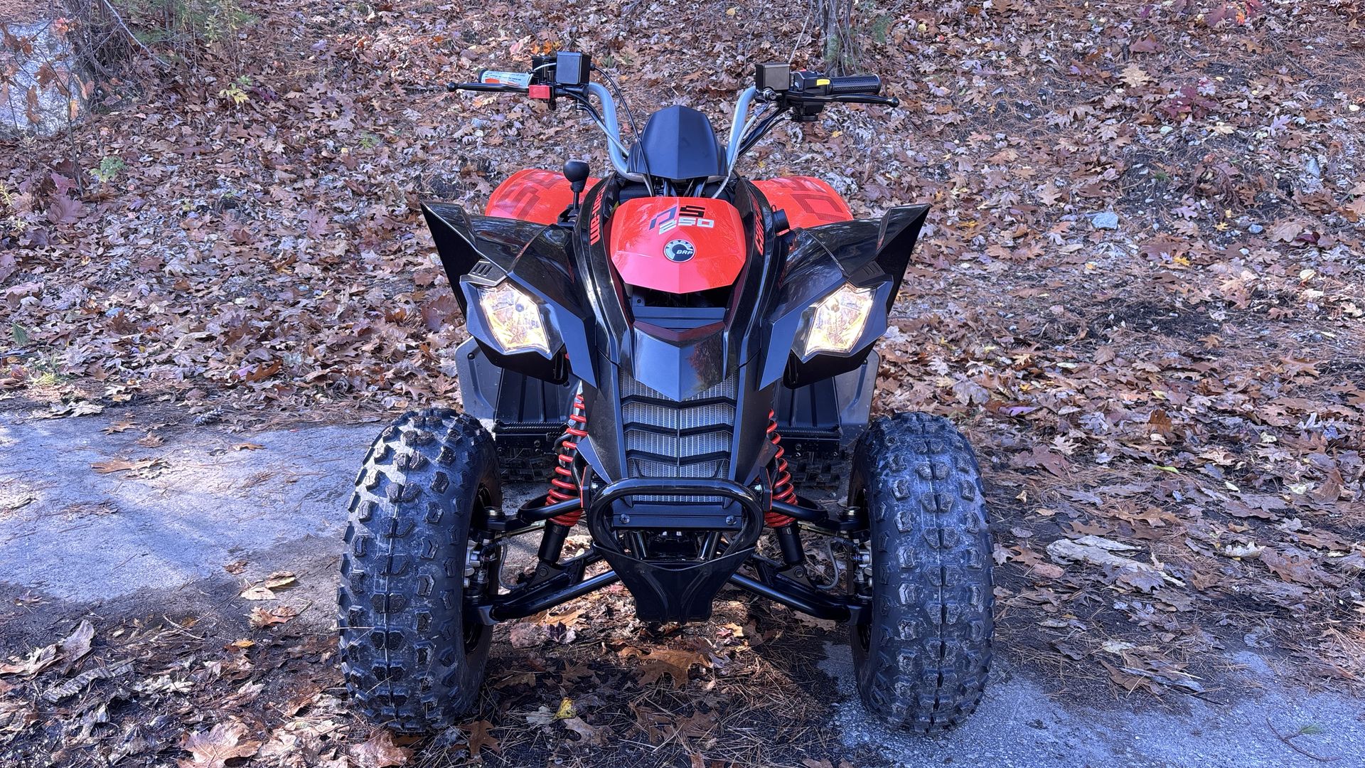 2025 Can-Am DS 250 - Photo 2