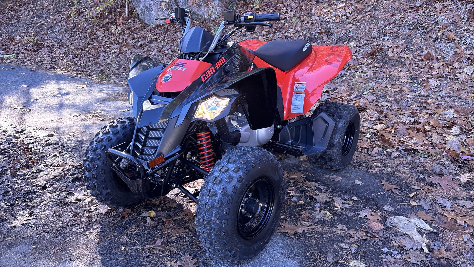 2025 Can-Am DS 250 - Photo 3