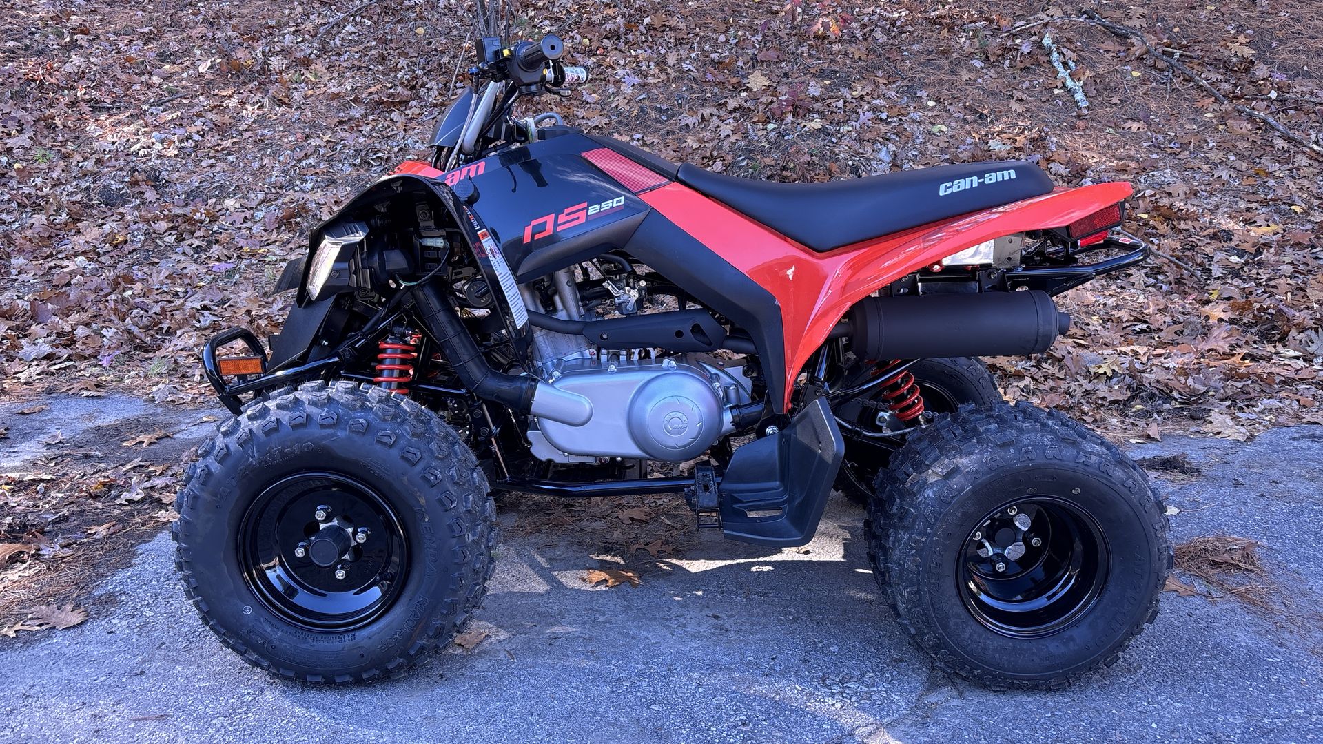2025 Can-Am DS 250 - Photo 4