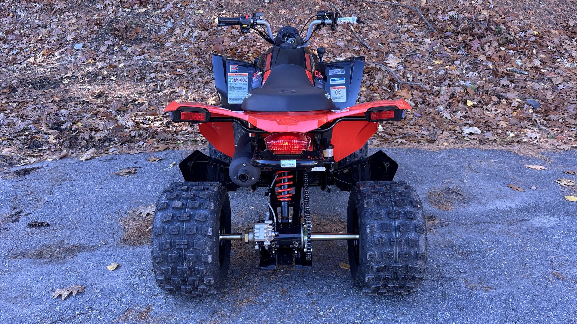 2025 Can-Am DS 250 - Photo 6