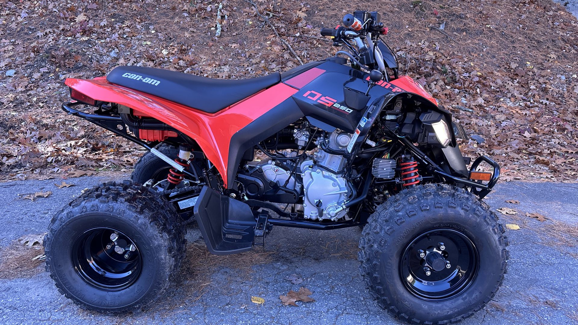2025 Can-Am DS 250 - Photo 8