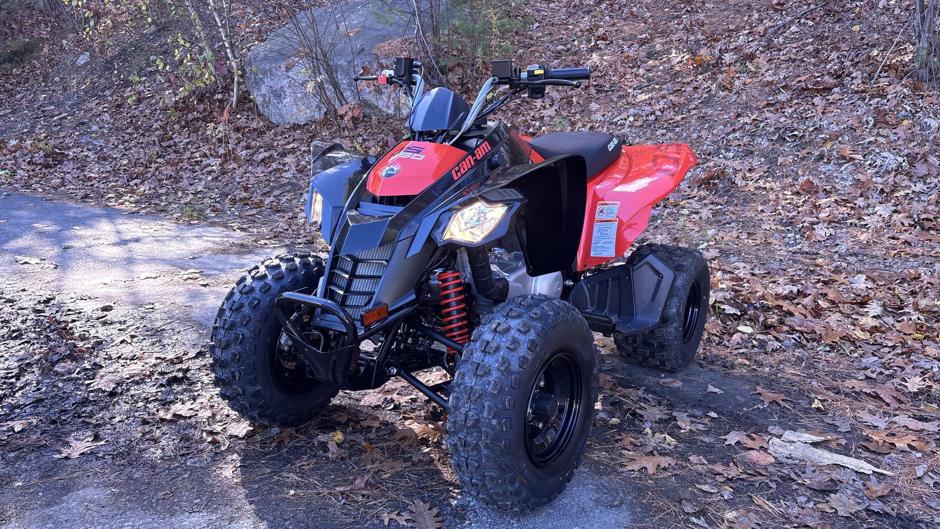 2025 Can-Am DS 250 - Photo 9