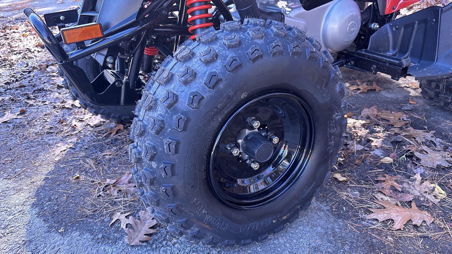 2025 Can-Am DS 250 - Photo 11