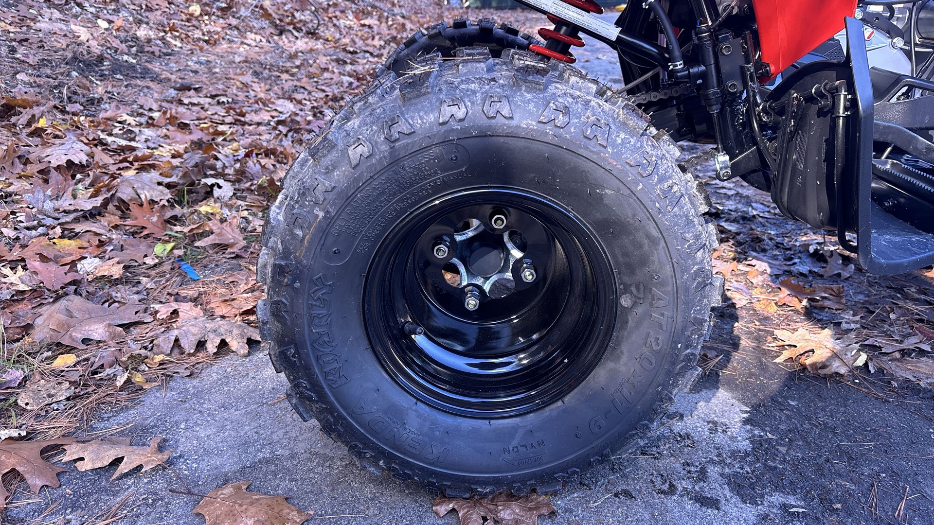 2025 Can-Am DS 250 - Photo 15