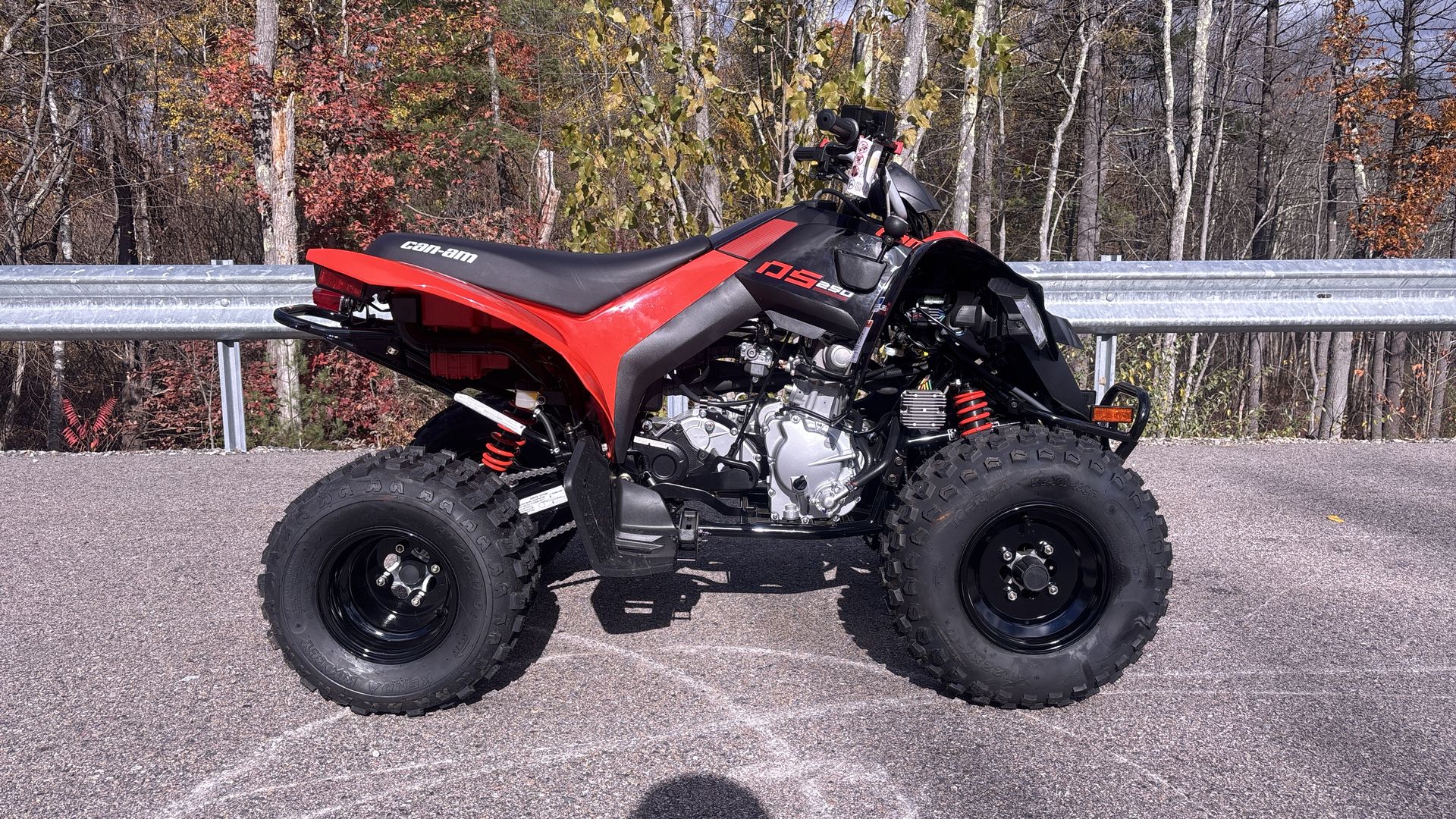 2026 Can-Am DS 250 - Photo 8