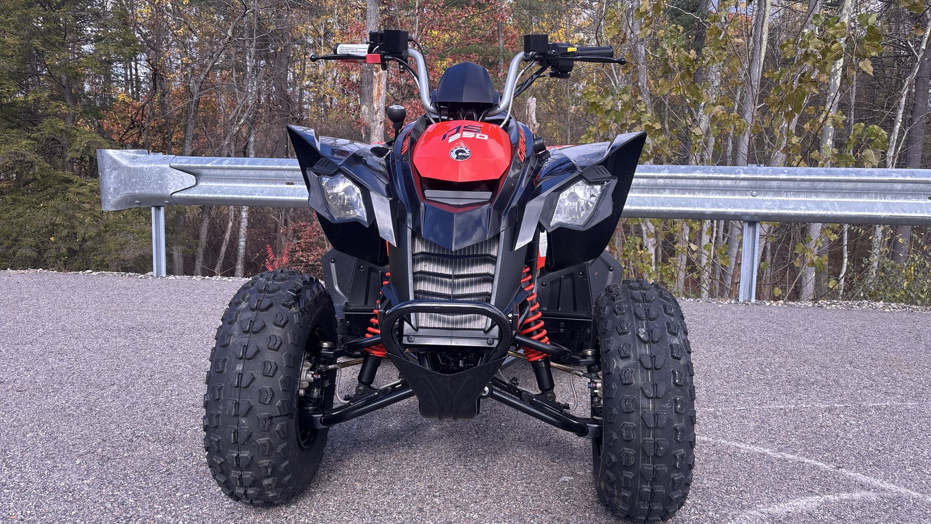 2026 Can-Am DS 250 - Photo 14