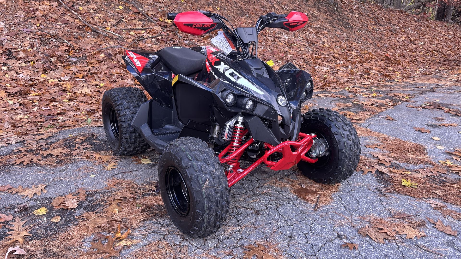2026 Can-Am RENEGADE XXC 110 EFI