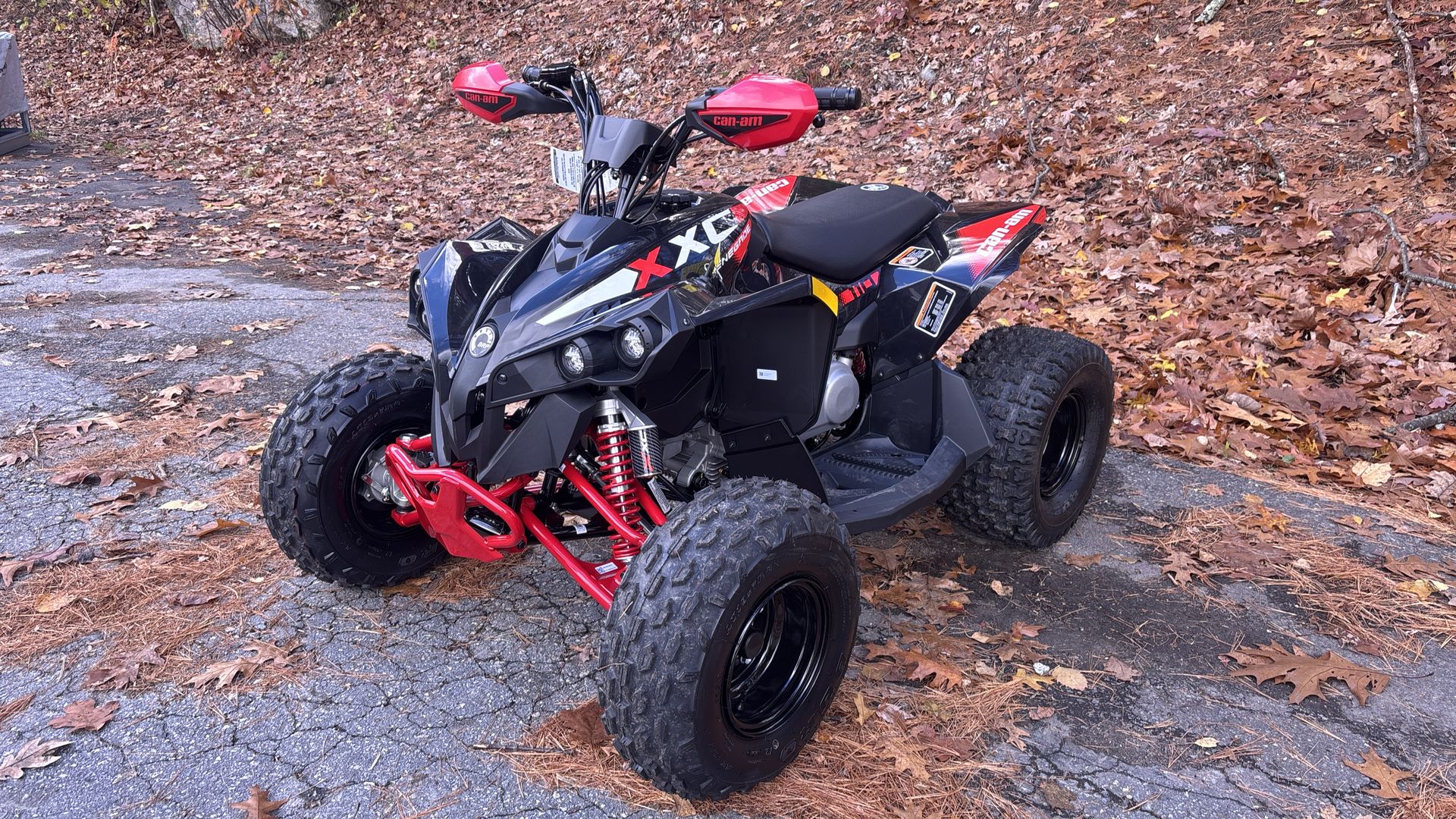 2026 Can-Am RENEGADE XXC 110 EFI - Photo 3