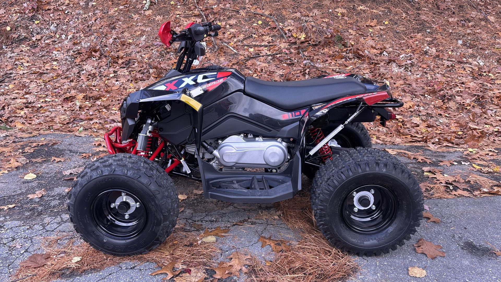 2026 Can-Am RENEGADE XXC 110 EFI - Photo 4