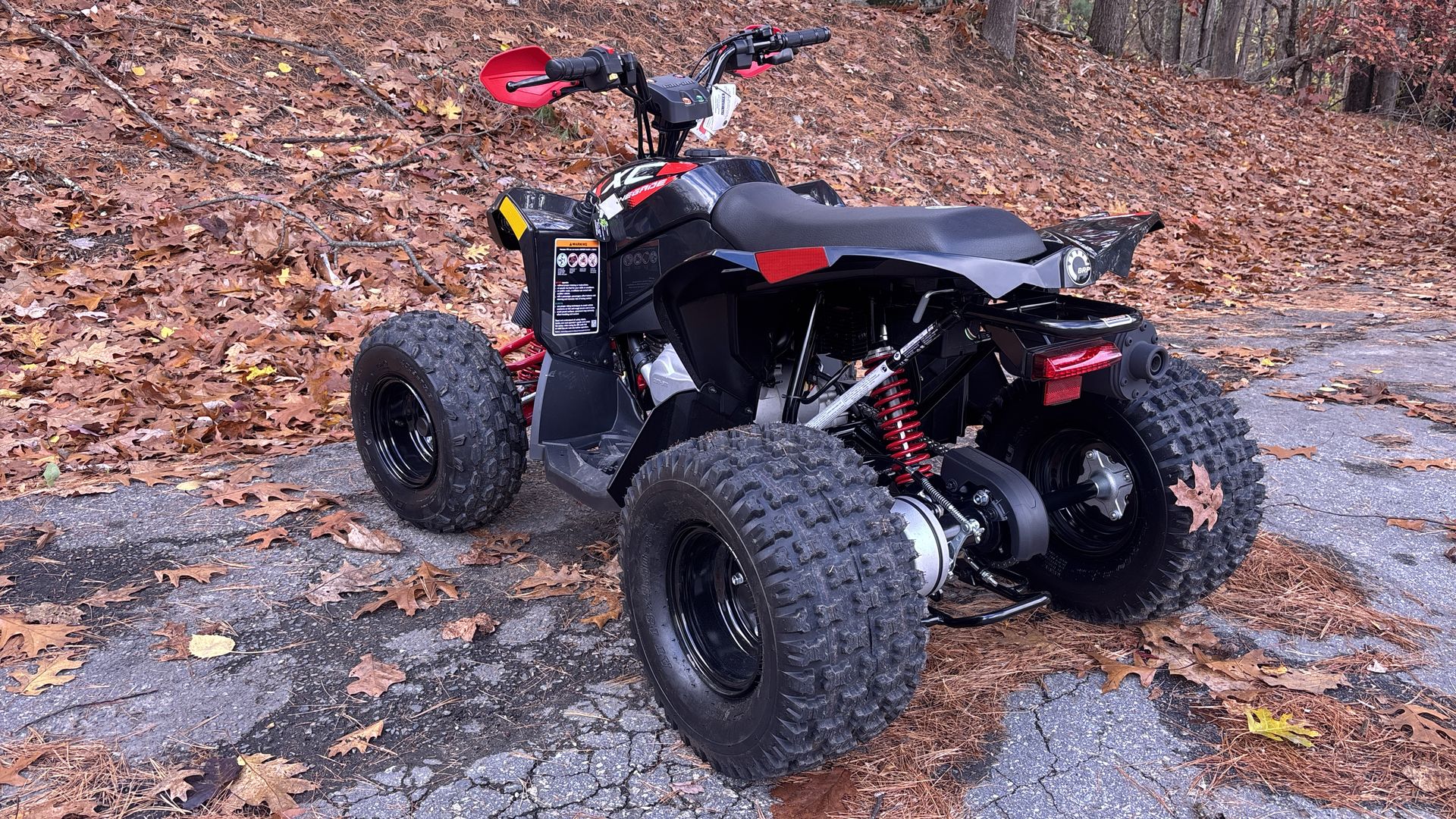 2026 Can-Am RENEGADE XXC 110 EFI - Photo 5