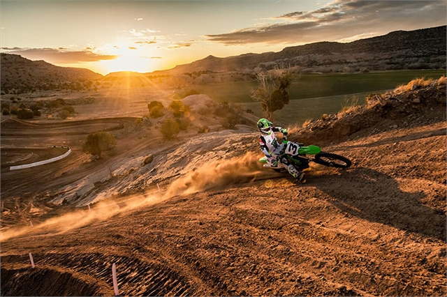 2020 Kawasaki KX™ 450 - Photo 6