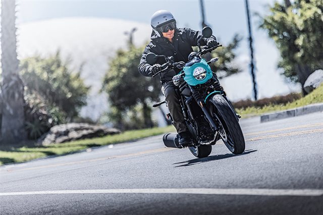 2025 Kawasaki Eliminator® SE ABS - Photo 2