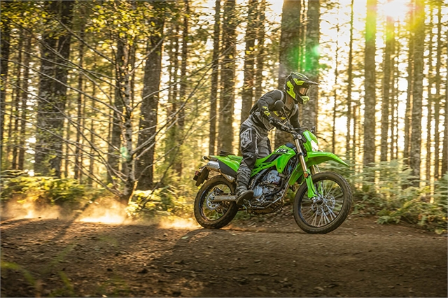 2025 Kawasaki KLX® 300 - Photo 5