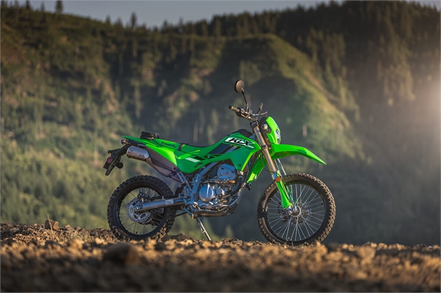 2025 Kawasaki KLX® 300 - Photo 6