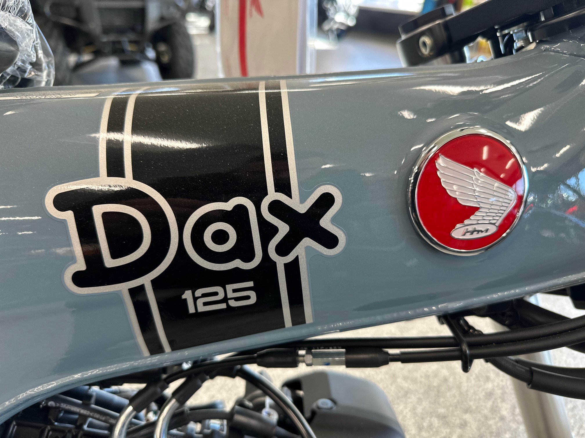 2025 Honda Dax 125 - Photo 6