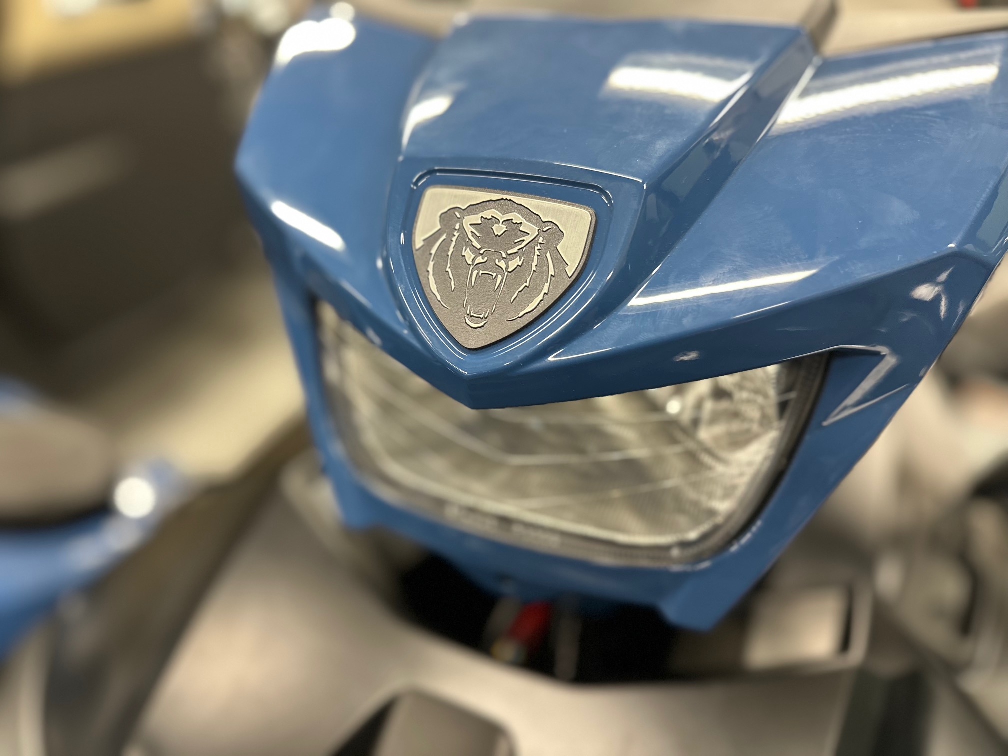 2025 Yamaha Grizzly EPS LTD - Photo 8