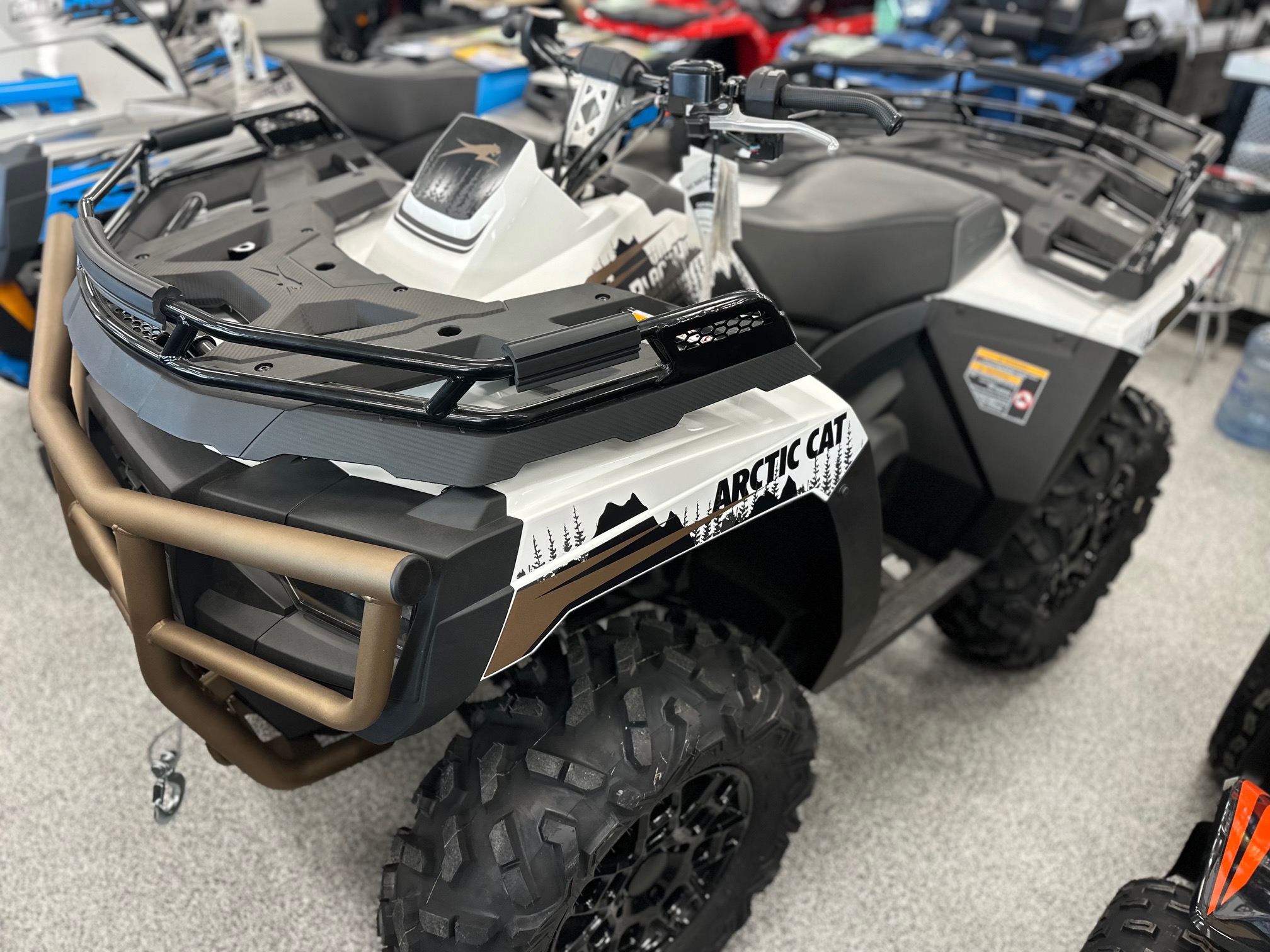 2024 Arctic Cat Alterra 600 EPS - Photo 2
