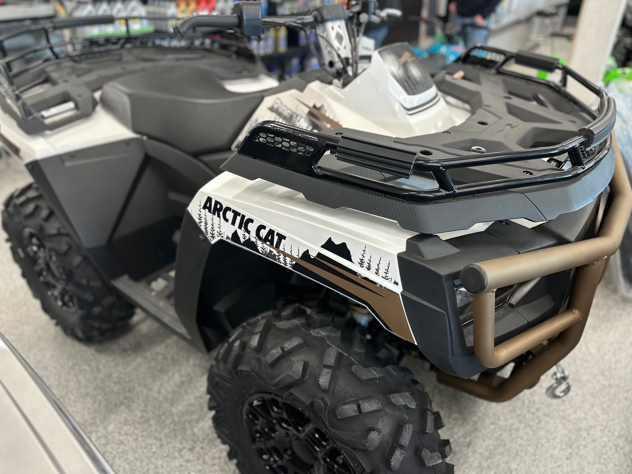 2024 Arctic Cat Alterra 600 EPS - Photo 3