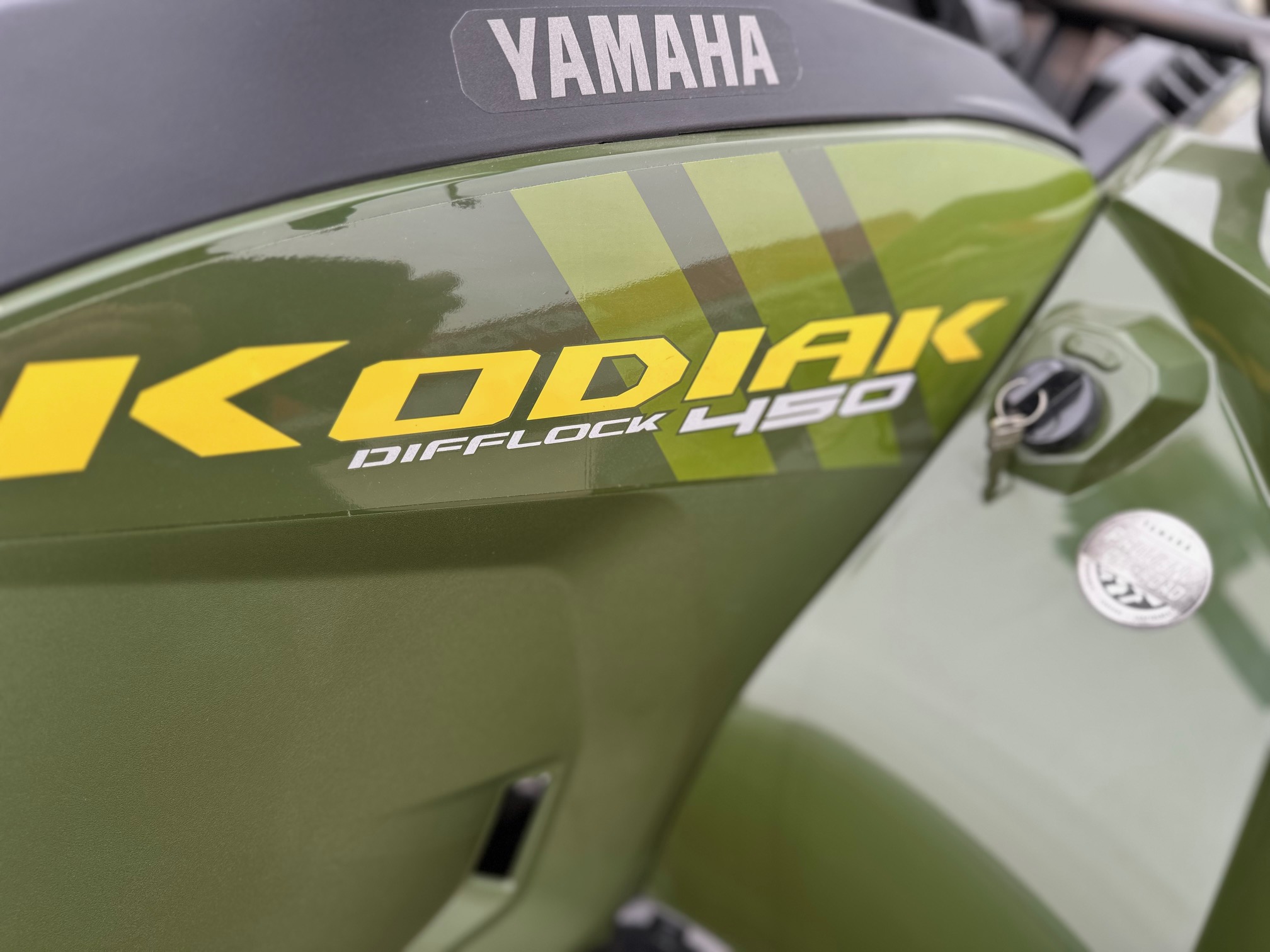 2025 Yamaha Kodiak 450 EPS - Photo 8