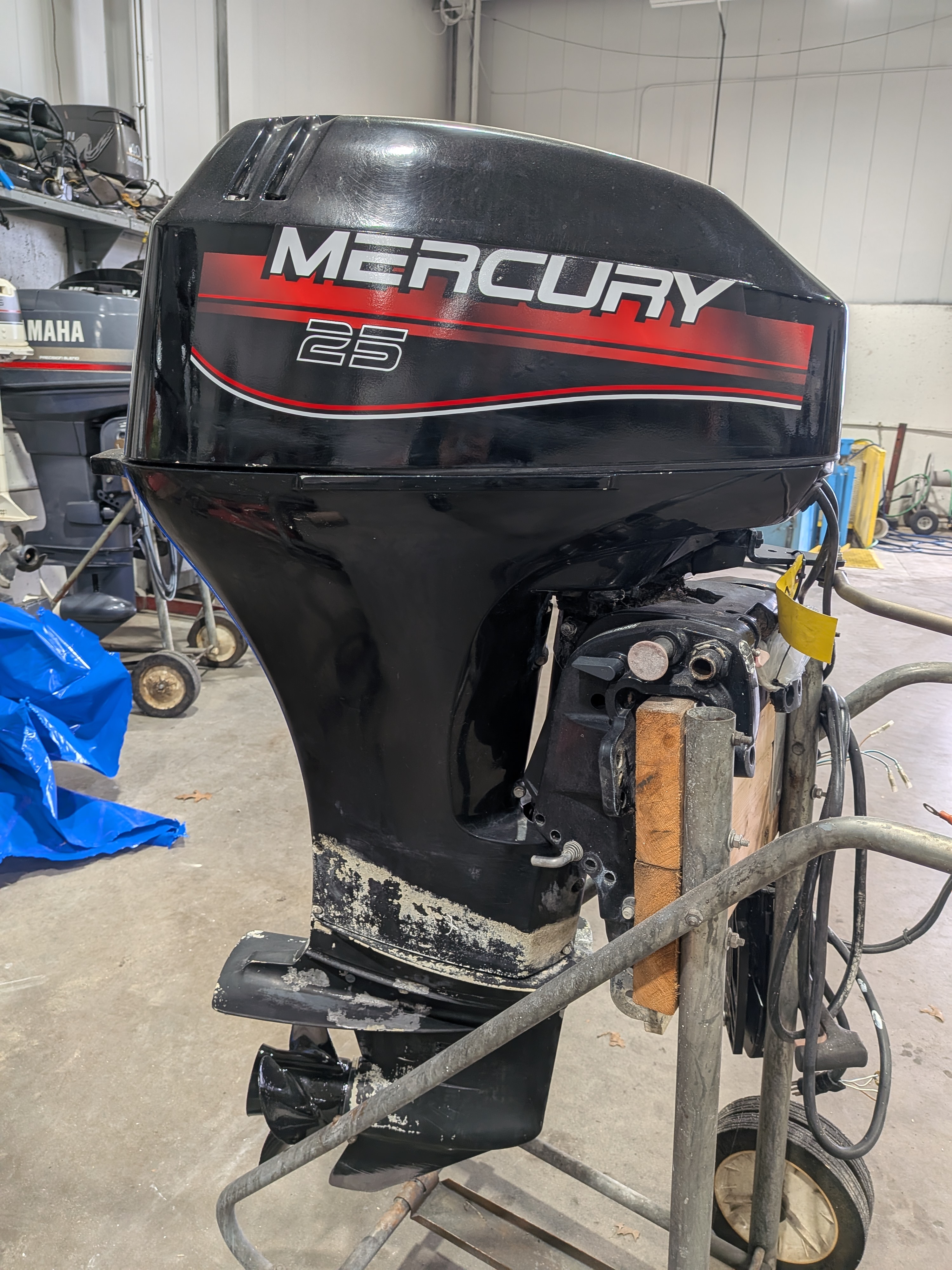2004 Mercury Marine Engines 25 ELPT 4S BF - Photo 6