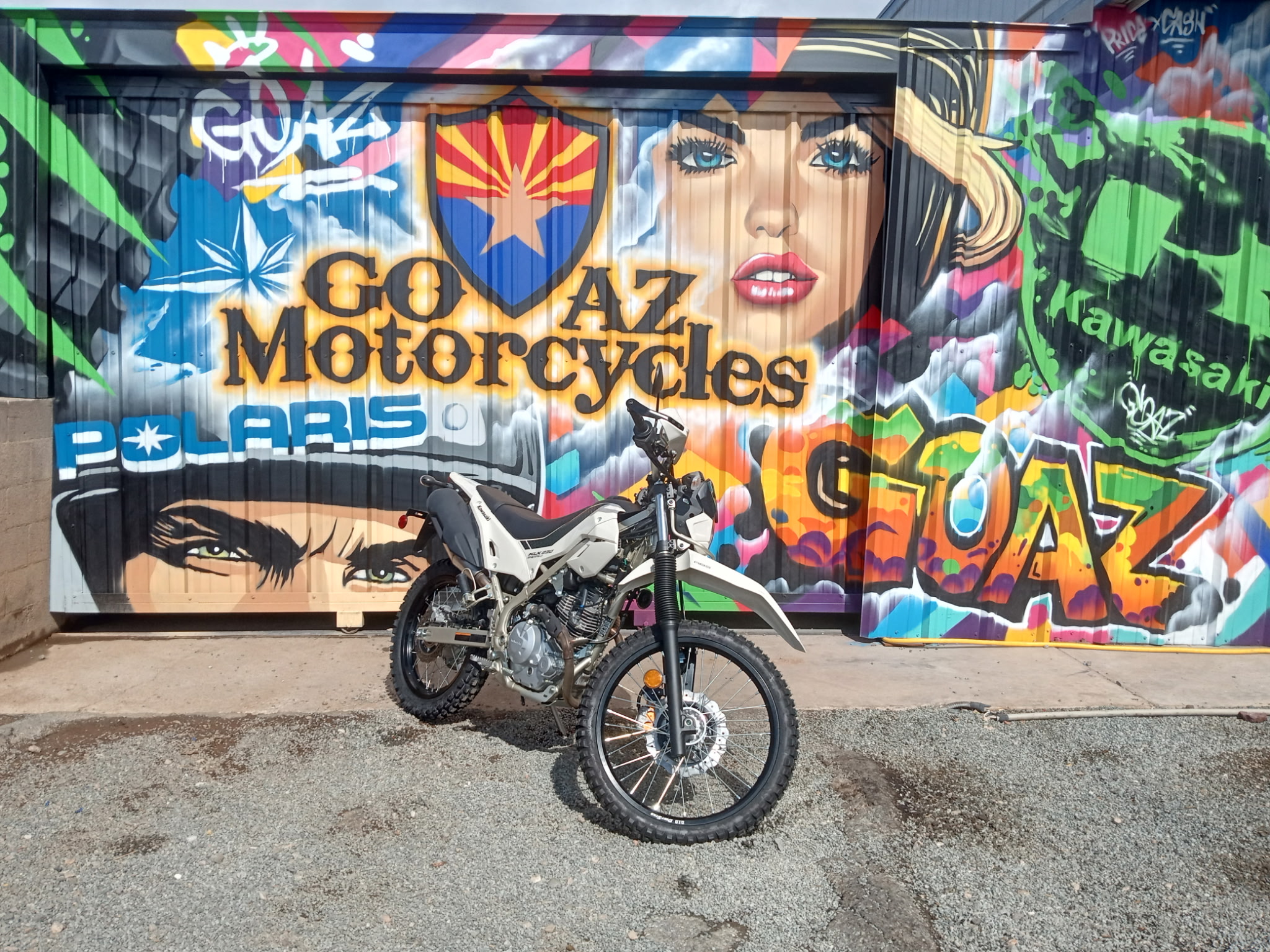 2026 Kawasaki KLX 230 Sherpa S ABS - Photo 3