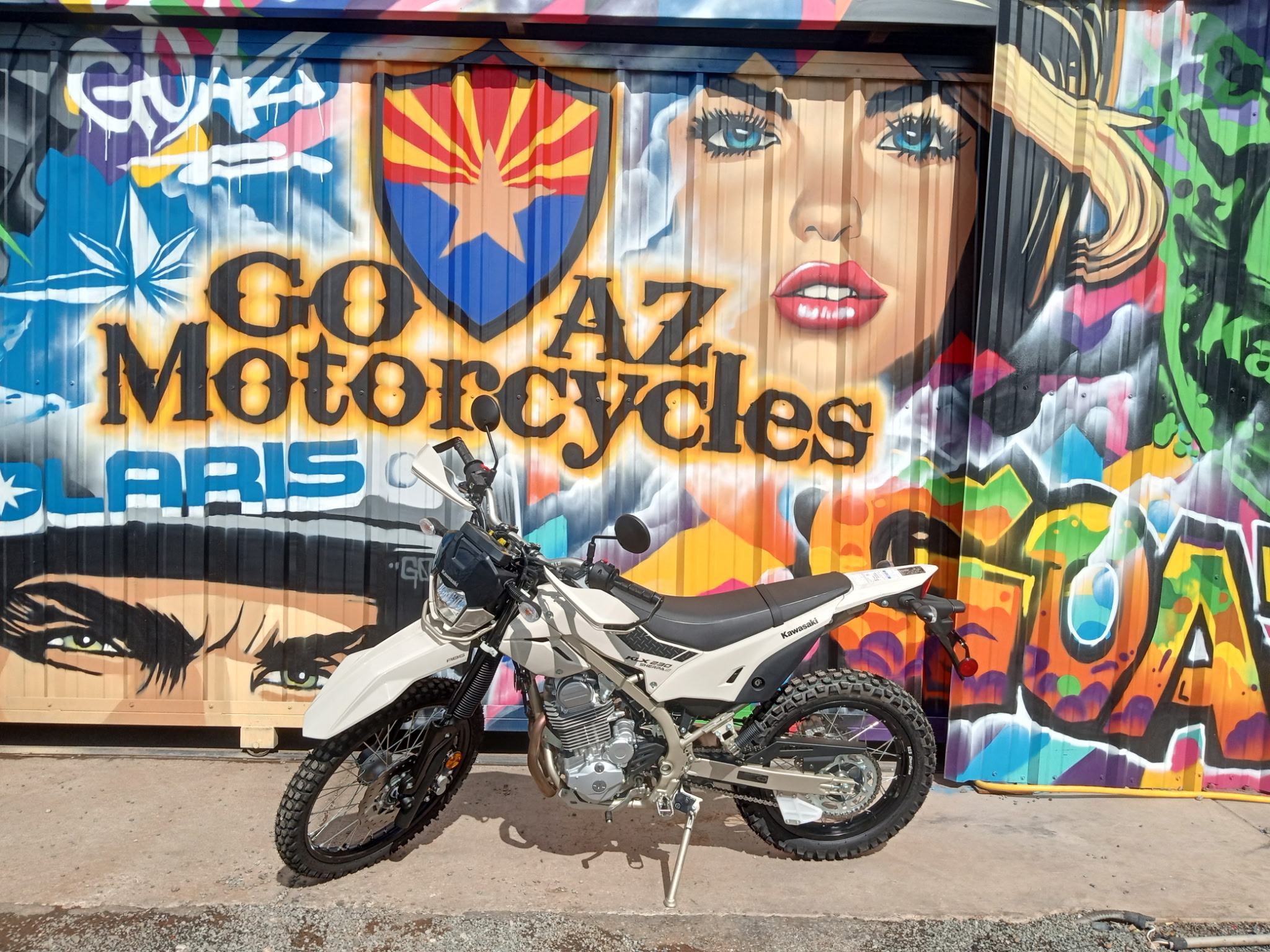 2026 Kawasaki KLX 230 Sherpa S ABS - Photo 6