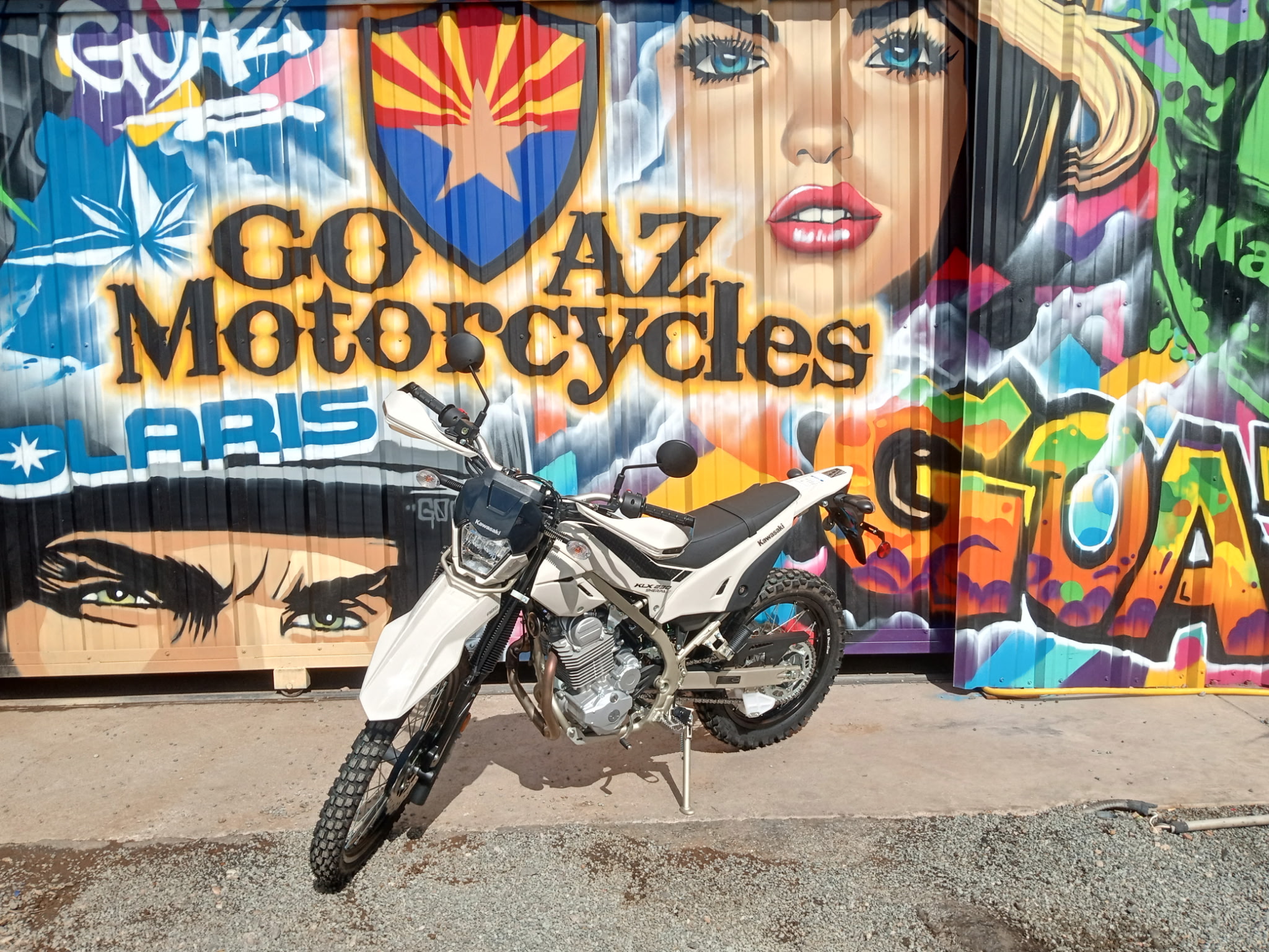 2026 Kawasaki KLX 230 Sherpa S ABS - Photo 5