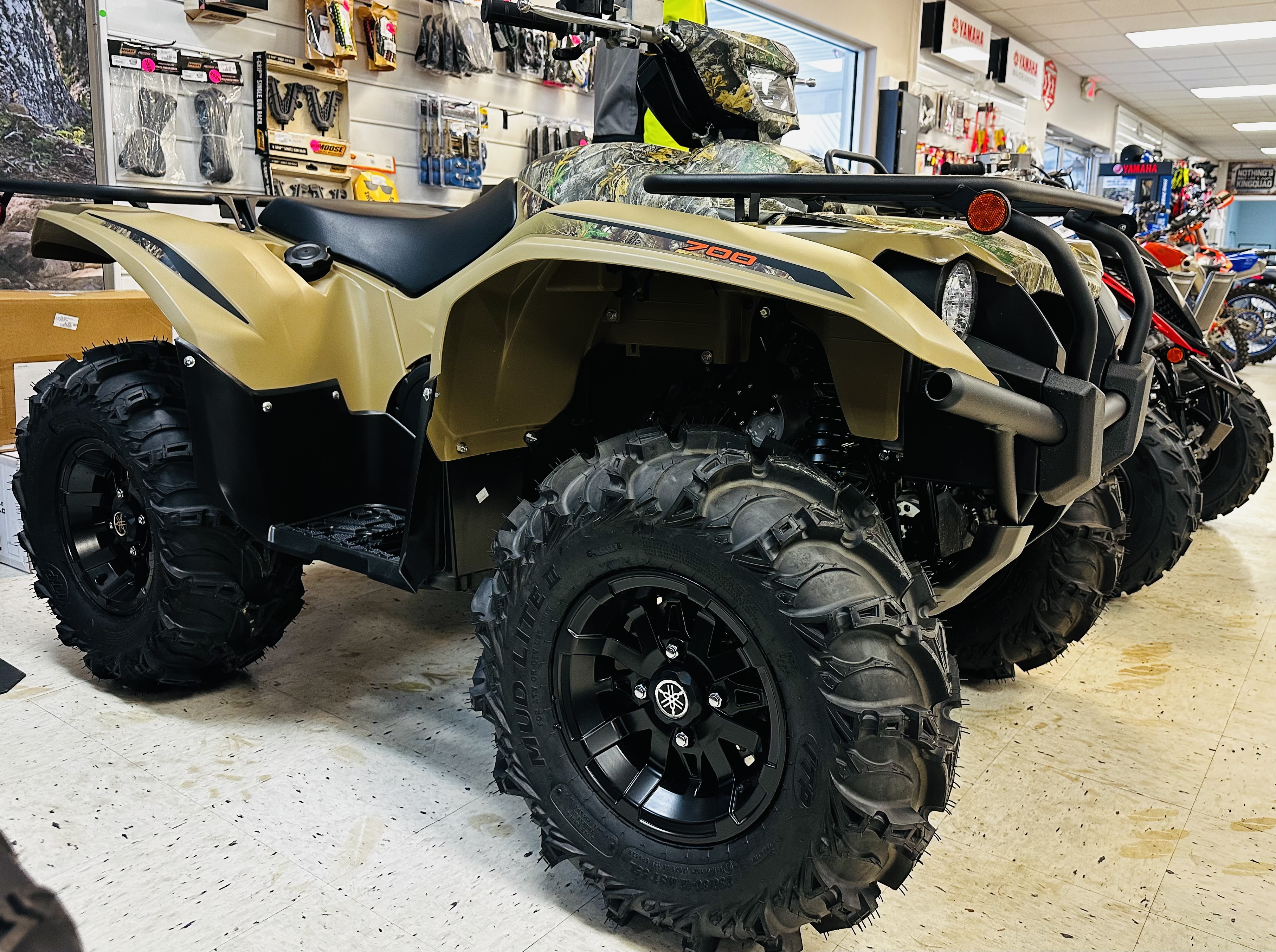2025 Yamaha Kodiak 700 EPS - Photo 2