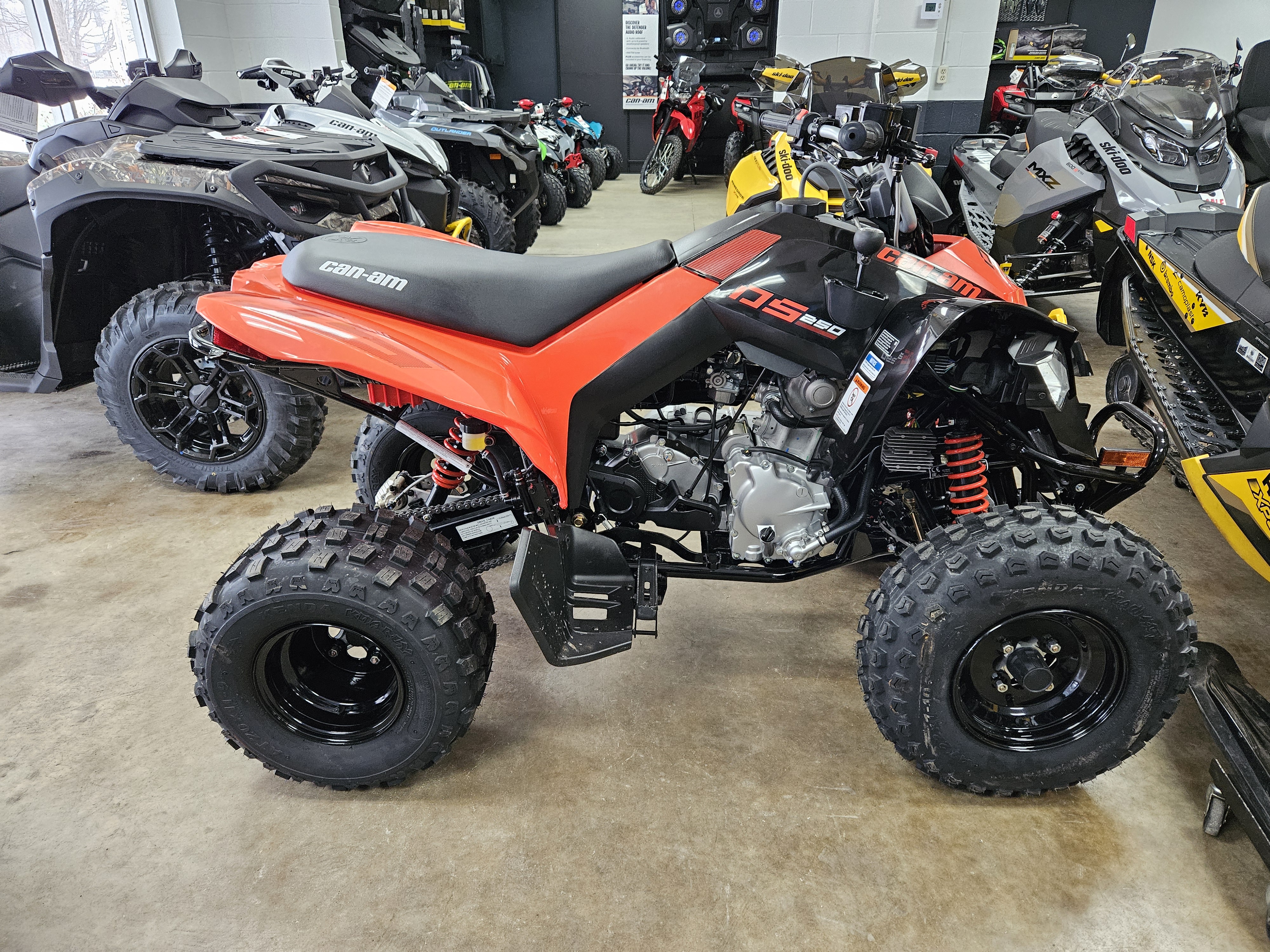 2025 Can-Am DS 250 - Photo 2