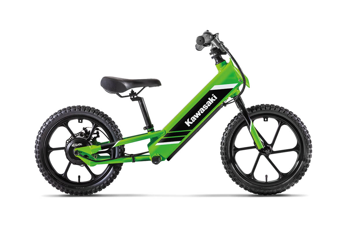 2025 Kawasaki ELEKTRODE 16 - Photo 9