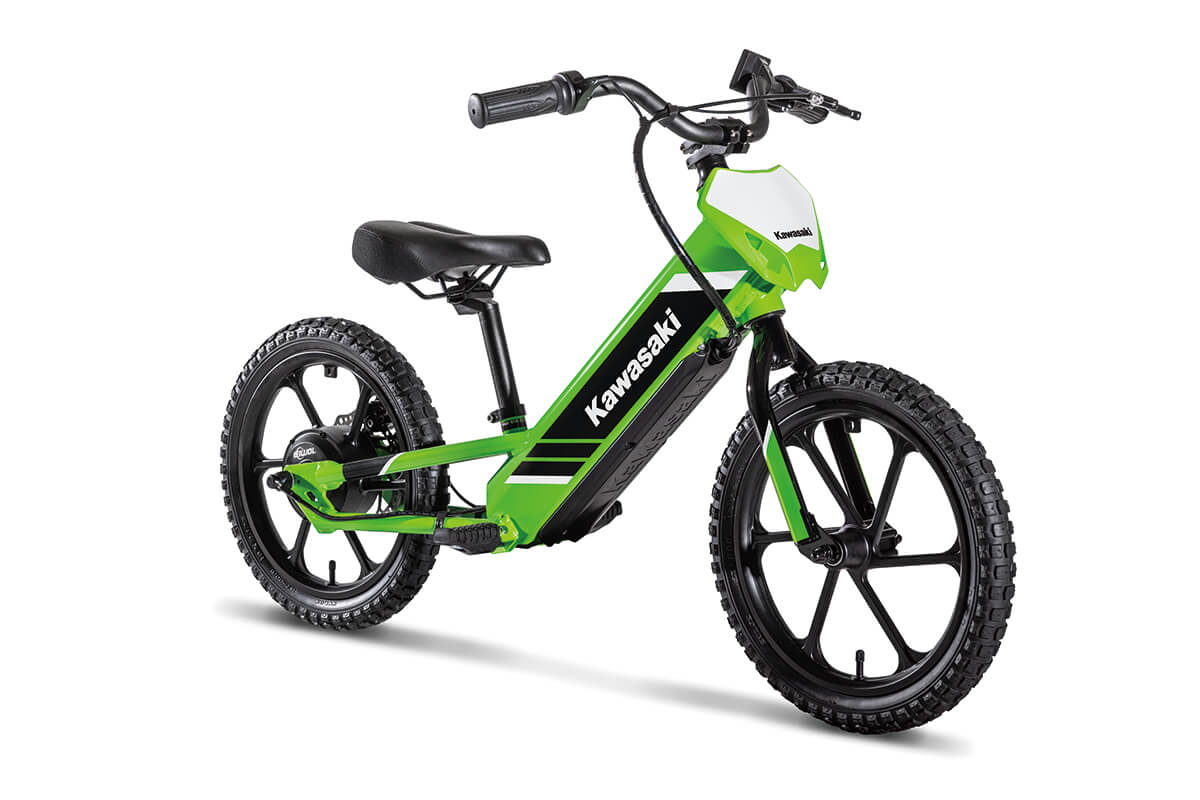 2025 Kawasaki ELEKTRODE 16 - Photo 8