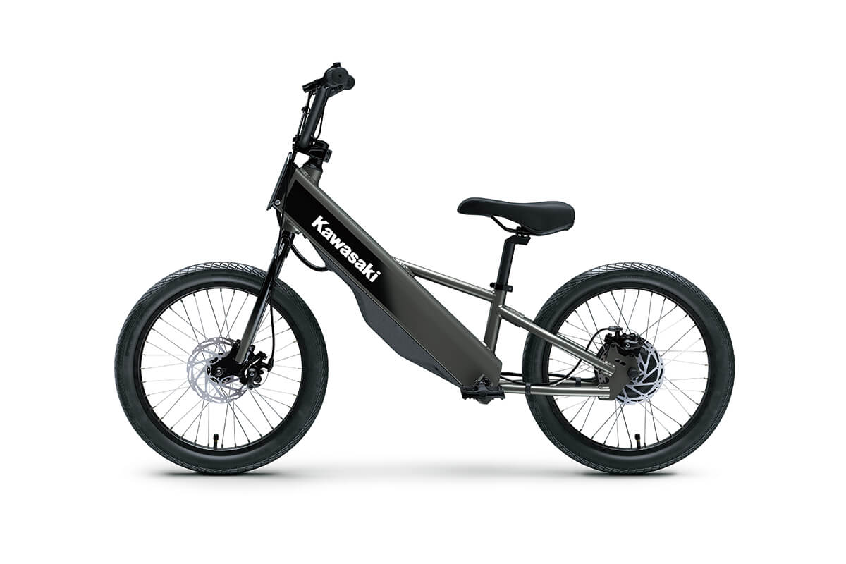 2025 Kawasaki ELEKTRODE 20FS - Photo 10