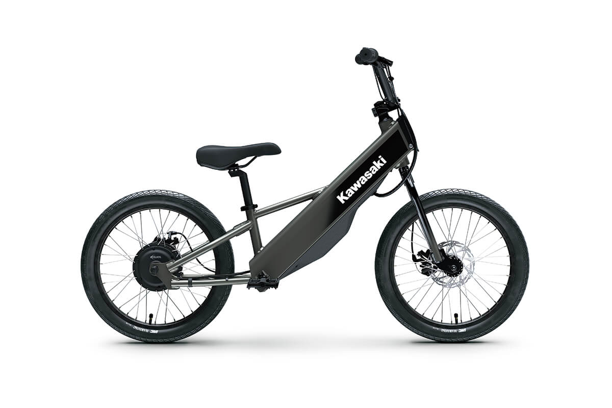 2025 Kawasaki ELEKTRODE 20FS - Photo 9