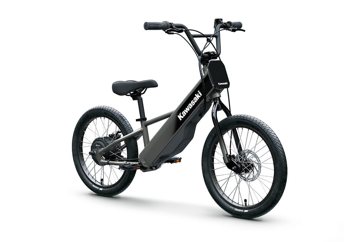 2025 Kawasaki ELEKTRODE 20FS - Photo 8