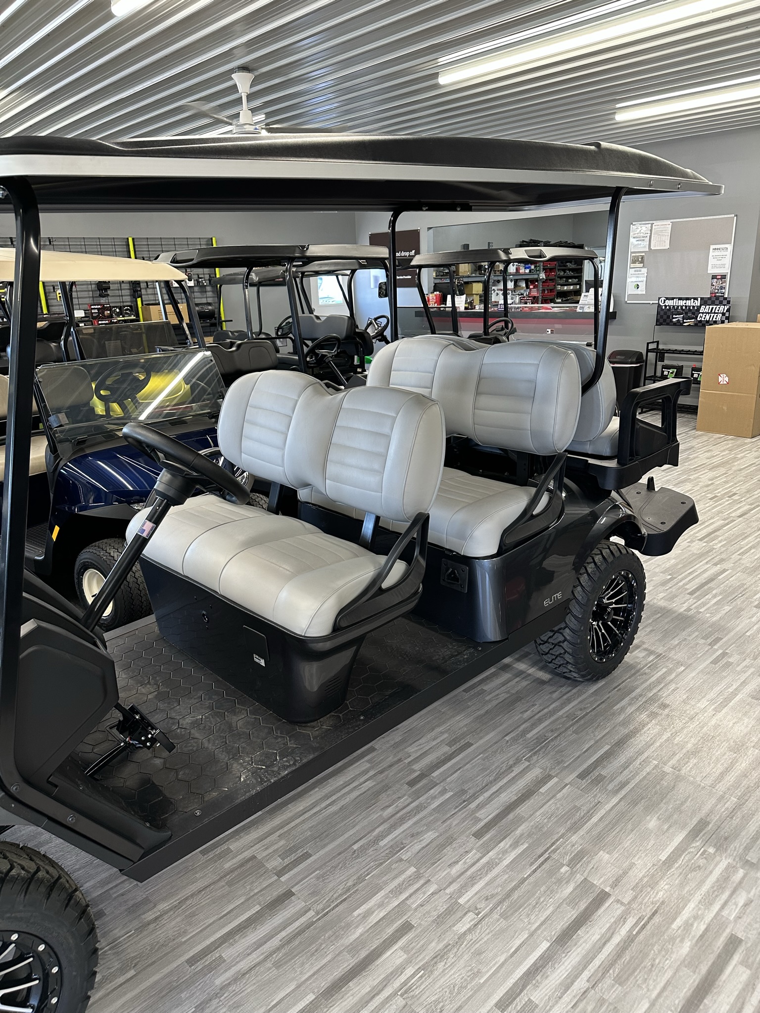 Golf Carts and Personal Transport Minnesota Golf & Outdoor Power Madelia, MN (507) 6423100