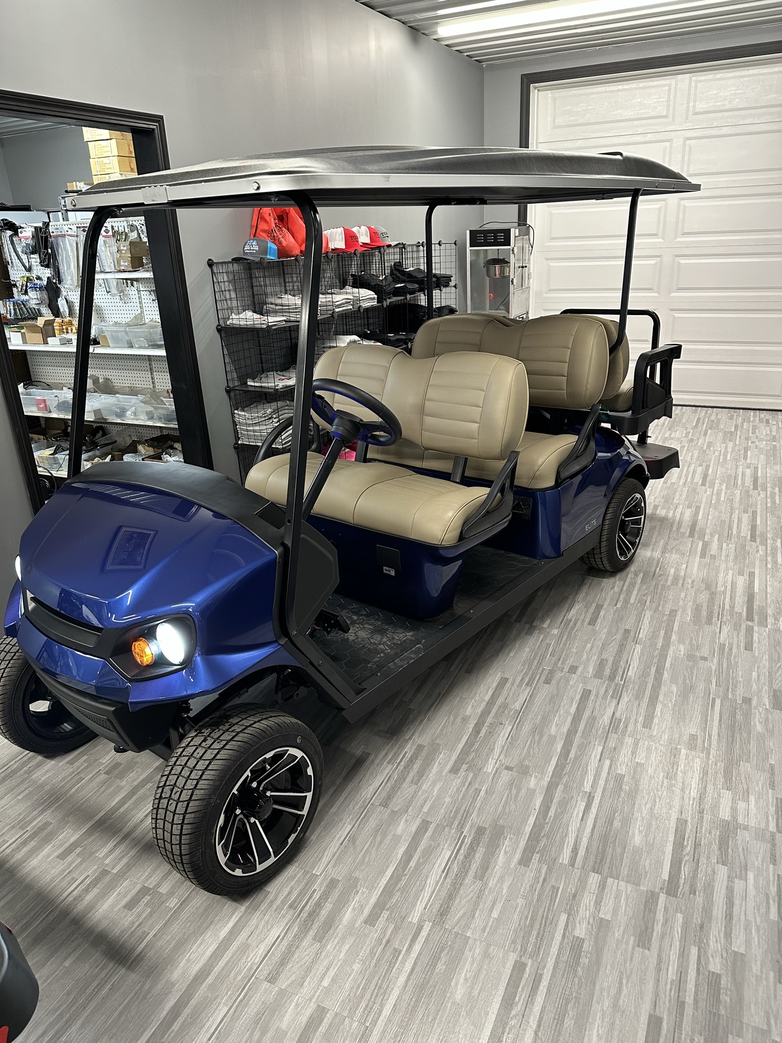 Golf Carts and Personal Transport Minnesota Golf & Outdoor Power Madelia, MN (507) 6423100
