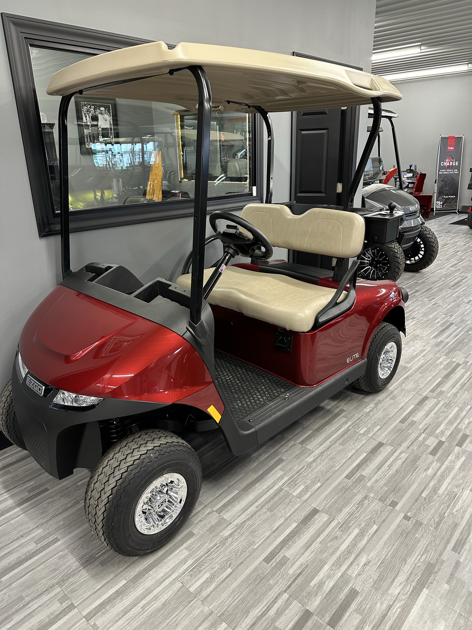 Golf Carts and Personal Transport Minnesota Golf & Outdoor Power Madelia, MN (507) 6423100