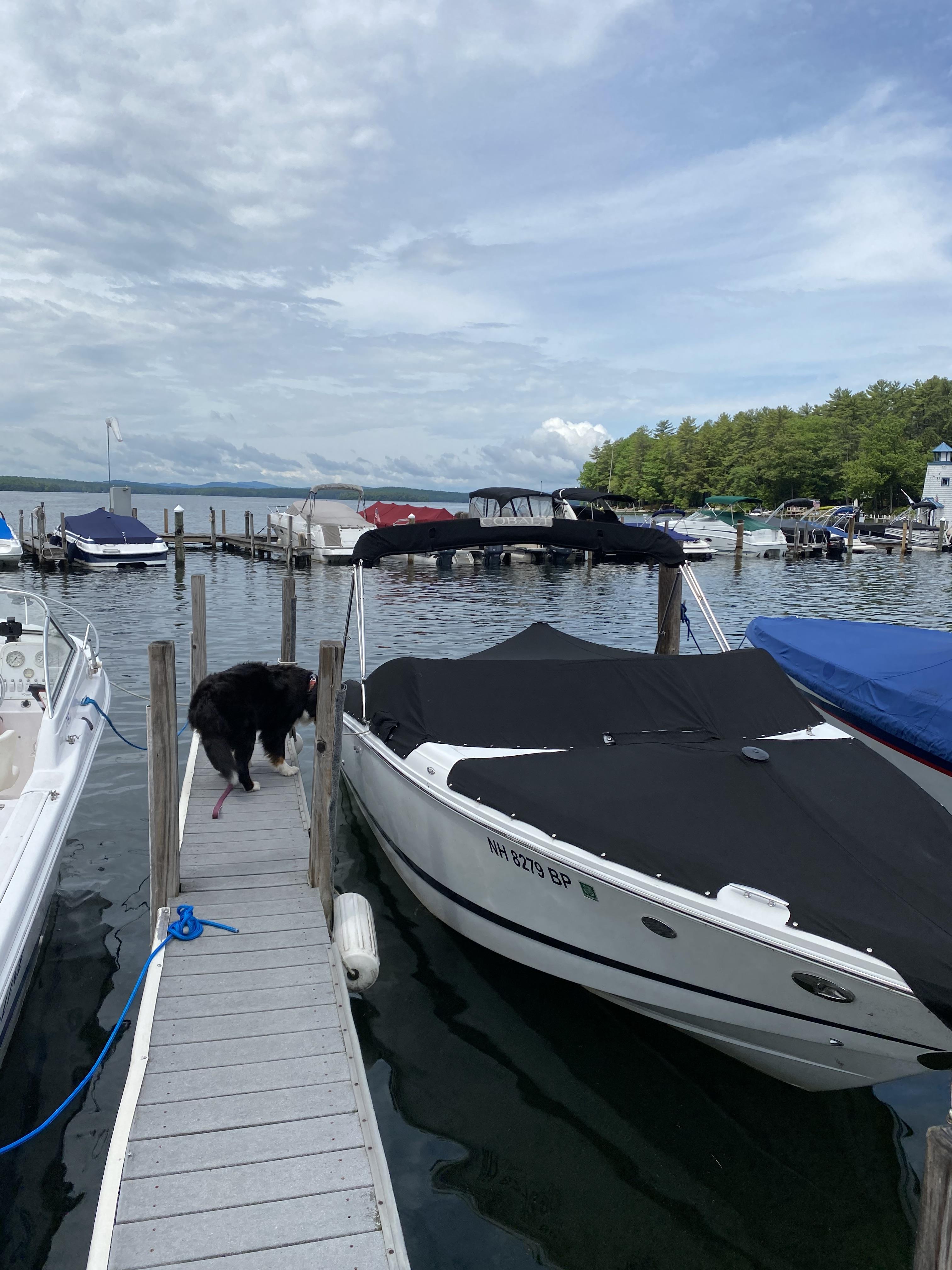 Used Boats For Sale Moultonborough, NH Used Boat Dealer